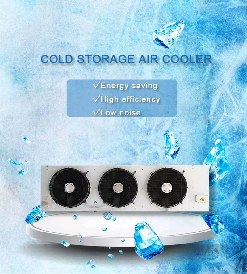 ceiling fan for cool air 1 ceiling fan for cool air 1